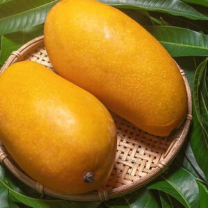 Chaunsa Mangoes